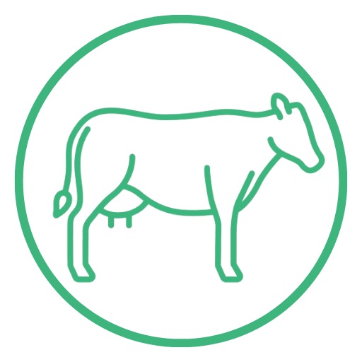 Buffalo A2 Milk