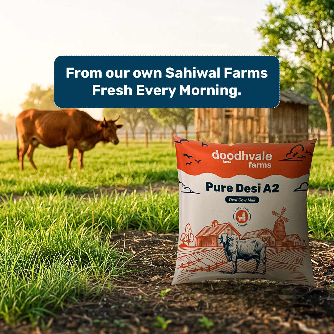 doodhvale farms Buy Pure Desi A2 Cow Milk online
